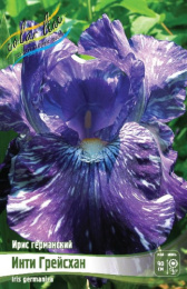 Ирис германский Инти Грейсхан 1шт. Colorline