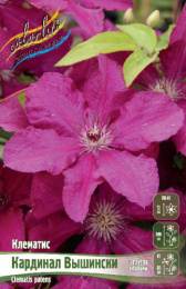 Клематис Кардинал Вышински 2шт. Colorline