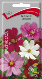 Космея Сенсация 0,3г цветной пакет Поиск