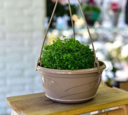 Кашпо подвесное пластиковое Венеция с поддоном d-25,5см 4,0л фраппе 5plast 5PL0354