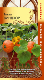 Тыква декоративная Виндзор 3шт. цветной пакет серия Огород на балконе Плазменные семена