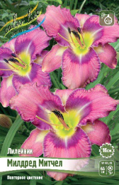 Лилейник Милдред Митчел 1шт. Colorline