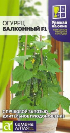 Огурец Балконный F1 5шт. цветной пакет Урожай на окне! Семена Алтая
