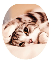 Сиденье для унитаза мягкое с рисунком Котенок Океан В-35