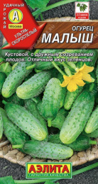 Огурец Малыш 10шт. цветной пакет Аэлита