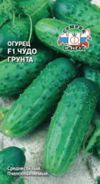 Огурец Чудо грунта F1 0,3г цветной пакет Седек