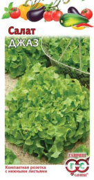 Салат листовой Джаз 0,5г цветной пакет Гавриш