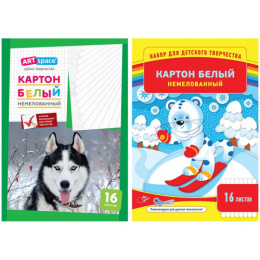 Картон белый  16 листов А4 немелованный, в папке Нкн16б_6962