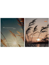 Блокнот А5  40 листов Настроение и природа, гребень Б40-9401