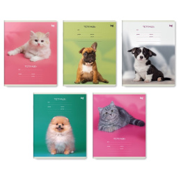 Тетрадь  12 листов линейка BG Little Animal Т5СК12 60292