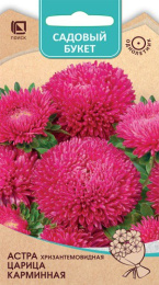 Астра Царица карминная хризантемовидная 0,1г цветной пакет серия Садовый букет Поиск