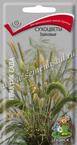 Сухоцветы Злаковые 0,3г цветной пакет Поиск