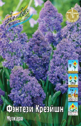 Мускари Фэнтези Криэйшн 10шт. Colorline