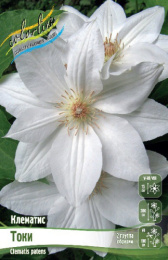 Клематис Токи 2шт. Colorline
