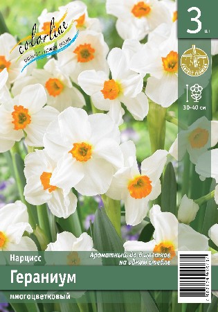 Нарцисс Гераниум 3шт. Эконом Colorline