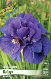 Ирис сибирский Каблуи 1шт. Colorline