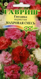 Гвоздика перистая Сказка махровая смесь 0,1г цветной пакет серия Альпийская горка* Гавриш