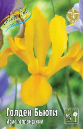 Ирис голландский Голден Бьюти 10шт. Colorline
