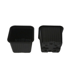 Горшок для рассады квадратный  9х9х 6,5см, объем - 0,33л, формованный Рассадный сервис КВ9М