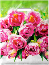 Пакет подарочный ПВД 30х40см 50мкм Натюрель ПВ3040НАТ