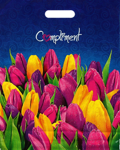 Пакет подарочный ПВД 38х47см 60мкм Комплимент ПВ3847КП