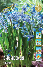 Сцилла Сибирская 10шт. Colorline