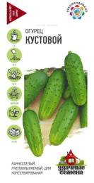Огурец Кустовой  0,5г цветной пакет серия Удачные семена Гавриш