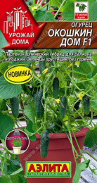 Огурец Окошкин дом F1 5шт. цветной пакет Аэлита