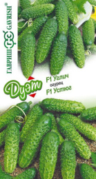 Огурец Углич F1 10шт. + Устюг F1 10шт. цветной пакет серия Дуэт Гавриш