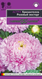 Астра Хризантелла Розовый восторг 0,05г цветной пакет Гавриш