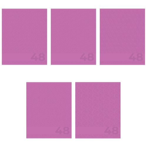 Тетрадь  48 листов Амарантовый 15021/5