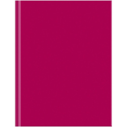 Блокнот А5  80 листов Биз BG Для конференций, бордо, книжный переплет ББ5Т80_ЛГ 33941
