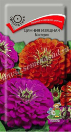 Цинния Мистерия изящная 0,4г цветной пакет Поиск