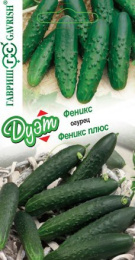 Огурец Феникс 0,5г + Феникс плюс 0,5г цветной пакет серия Дуэт Гавриш