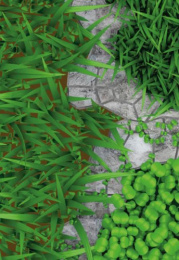 Люпин 46 1кг Гавриш