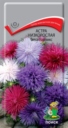 Астра Тиеса стар микс низкорослая 0,2г цветной пакет Поиск