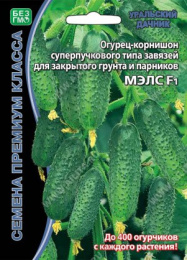 Огурец МЭЛС F1 5шт. цветной пакет Уральский дачник