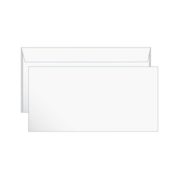 Конверт 110х220 белый, отр. пол, без окна Е65.1000.1 066246 124394