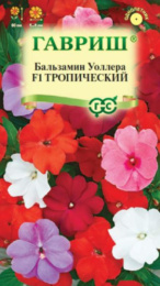 Бальзамин Тропический F1 Уоллера смесь гибридов 4шт. цветной пакет Гавриш