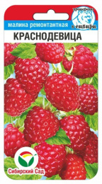 Малина ремонтантная Краснодевица 10шт. цветной пакет Сибирский сад