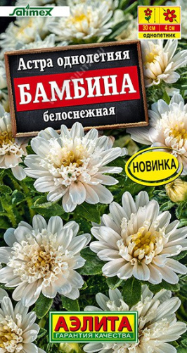 Астра Бамбина белоснежная 20шт. цветной пакет Аэлита