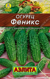 Огурец Феникс  20шт. цветной пакет серия Лидер Аэлита
