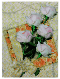 Папка адресная С Днем рождения Нежность, ламинированная (пухлая) ПЛ 4003-59