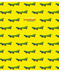Тетрадь  48 листов Скейты С0221-170
