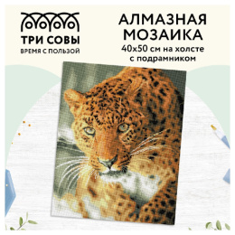 Алмазная мозаика на подрамнике 40х50см Леопард Три совы АМП4050_47616