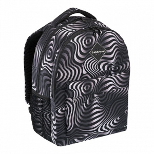 Рюкзак ErichKrause Easyline 20L Illusion 51642