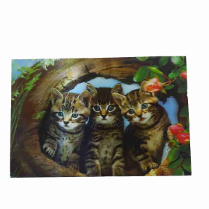 Термоскатерть картина 3Д 38х58см Радужный Дом РД56689