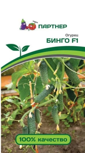 Огурец Бинго F1 5шт. цветной пакет Партнер