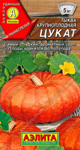 Тыква крупноплодная Цукат 1г цветной пает Аэлита