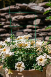 Шпалера для комнатных растений металлическая h-60см d-2,5мм Лесенка LDN